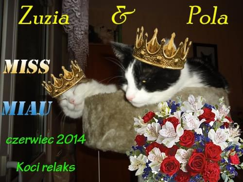 Obrazek