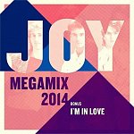 Joy - Megamix 2014 (2013) Joy - Megamix 2014 (2013)