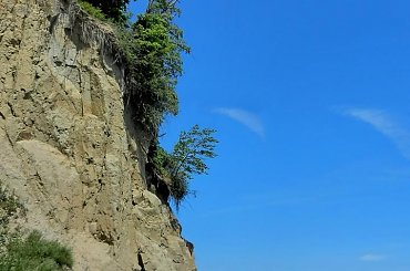 ...gdy jeden żywioł zmaga się z innym, gdy moc mocą na inną moc napiera #klif #morze #brzeg #las