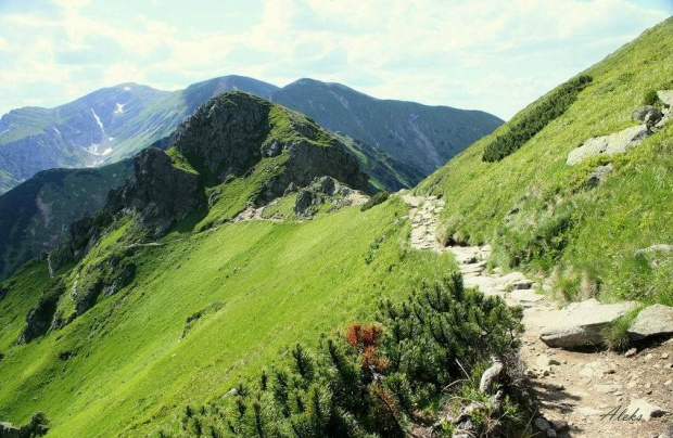 na szlaku #góry #krajobraz #tatry