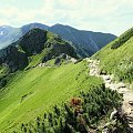na szlaku #góry #krajobraz #tatry
