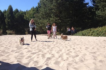 zlot buldogów angielskich. Fioletowe forum buldog-angielski.org.pl #BuldogAngielski #buldogi #FioletoweForum #zlot #Zlot2013