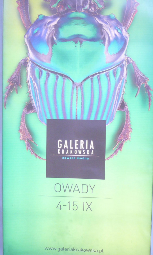 Wystawa owadów w Galerii Krakowskiej w Krakowie 2013 09 13 #Kraków #Małopolskie