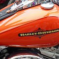 Harley Davidson Parade
