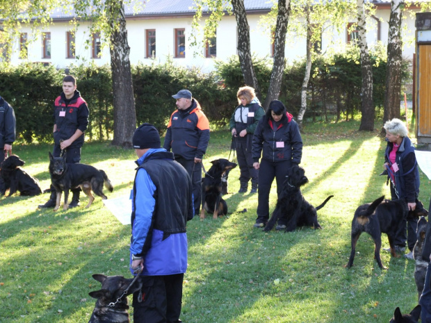 Zawodnicy 2 Beskidzkich Mistrzostw w tropieniu.