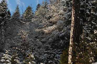 #góreczki #górki #Góry #zima #Alpy