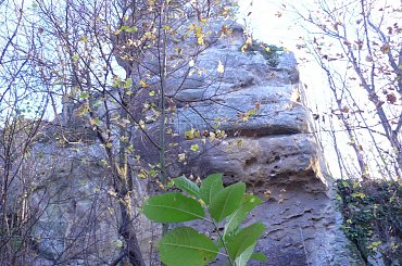 Wycieczka do browaru rzemieślniczego i Zamku w Odrzykoniu 2013 10 22 #browar #Odrzyko #rzemieślniczy #zamek