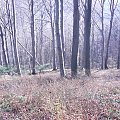 Mój pobyt w Iwoniczu Zdroju 2013 10 20 do 2013 11 13 #IwoniczZdrój