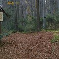 Mój pobyt w Iwoniczu Zdroju 2013 10 20 do 2013 11 13 #IwoniczZdrój
