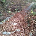 Mój pobyt w Iwoniczu Zdroju 2013 10 20 do 2013 11 13 #IwoniczZdrój
