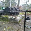 Mój pobyt w Iwoniczu Zdroju 2013 10 20 do 2013 11 13 #IwoniczZdrój