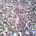 Mój pobyt w Iwoniczu Zdroju 2013 10 20 do 2013 11 13 #IwoniczZdrój