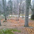 Mój pobyt w Iwoniczu Zdroju 2013 10 20 do 2013 11 13 #IwoniczZdrój