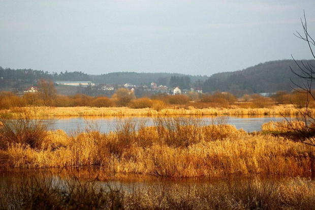 grudzień się kończy a za oknem taki widok :))