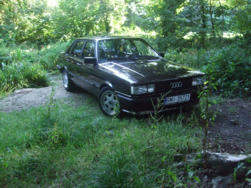 quattro