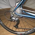#specjalized
