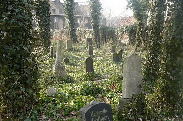 Cmentarz żydowski w Zabrzu #CmentarzŻydowskiWZabrzu #kirkuty