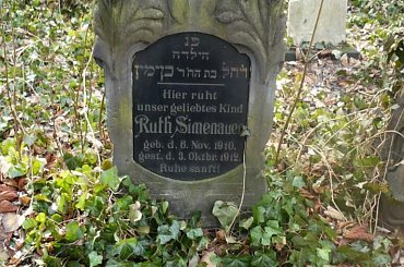 Cmentarz żydowski w Zabrzu #CmentarzŻydowskiWZabrzu #kirkuty