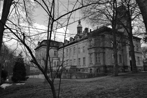 XIX -wieczny pałac w Damnicy wraz z otaczającym go starym parkiem. Nie było sensu robić fotki w kolorze ( obraz nędzy i rozpaczy). Po prostu stoi sobie i gnije.