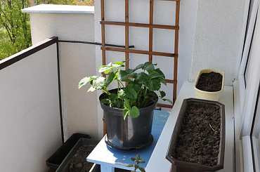 #mieszkanie #Warszawa #metro #dom #Białołęka #Tarchomin