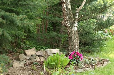 kwiaty maj #RabataCienista #rabata #RabataWCieniu