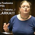 Krystyna Pawłowicz (PiS) #Polityka
