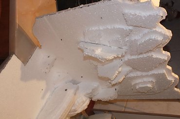 #hoya #hydroponika #paludarium #rośliny